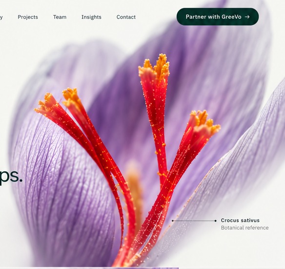 Macro botanical reference of Crocus sativus