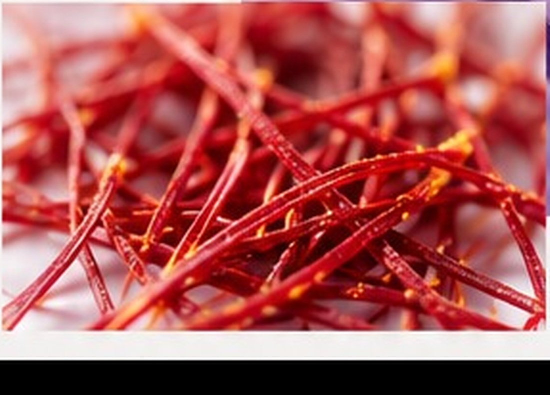 Saffron threads botanical reference